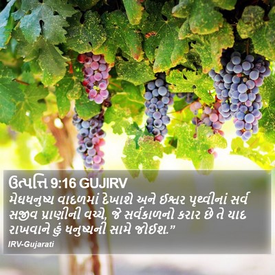 ઉત્પત્તિ 9:16 GUJIRV Bible Verse Image