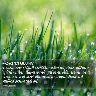 એઝરા 1:1 GUJIRV Bible Verse Image