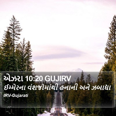એઝરા 10:20 GUJIRV Bible Verse Image