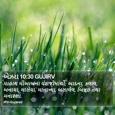 એઝરા 10:30 GUJIRV Bible Verse Image