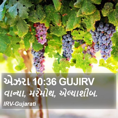 એઝરા 10:36 GUJIRV Bible Verse Image