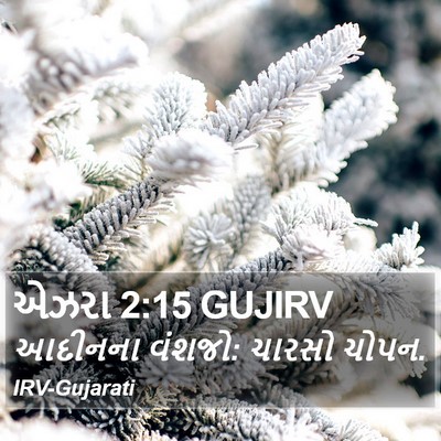 એઝરા 2:15 GUJIRV Bible Verse Image