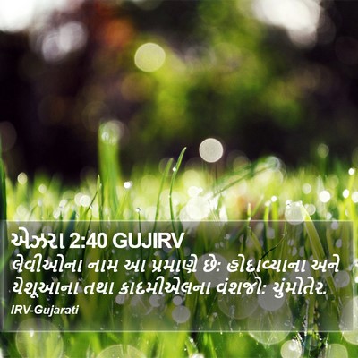 એઝરા 2:40 GUJIRV Bible Verse Image