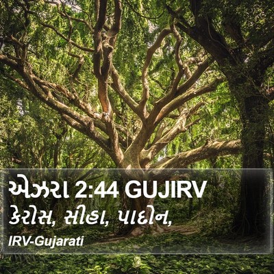એઝરા 2:44 GUJIRV Bible Verse Image