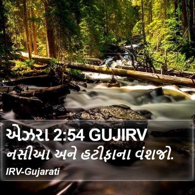 એઝરા 2:54 GUJIRV Bible Verse Image