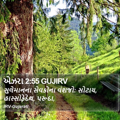 એઝરા 2:55 GUJIRV Bible Verse Image