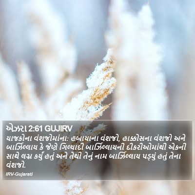 એઝરા 2:61 GUJIRV Bible Verse Image