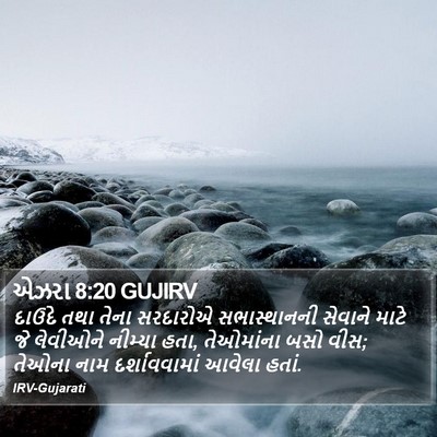 એઝરા 8:20 GUJIRV Bible Verse Image