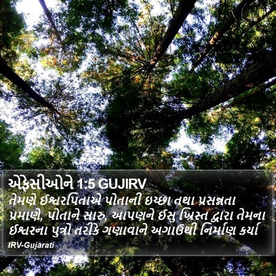 એફેસીઓને 1:5 GUJIRV Bible Verse Image