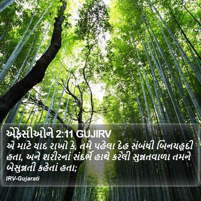 એફેસીઓને 2:11 GUJIRV Bible Verse Image