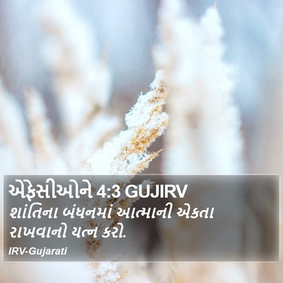 એફેસીઓને 4:3 GUJIRV Bible Verse Image
