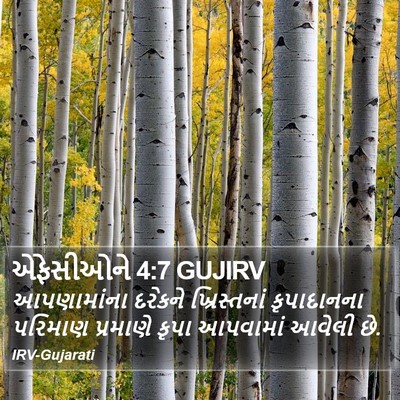 એફેસીઓને 4:7 GUJIRV Bible Verse Image