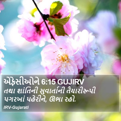 એફેસીઓને 6:15 GUJIRV Bible Verse Image