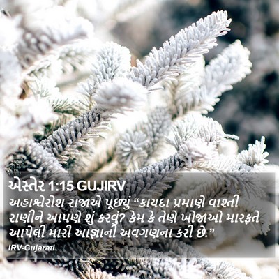 એસ્તેર 1:15 GUJIRV Bible Verse Image