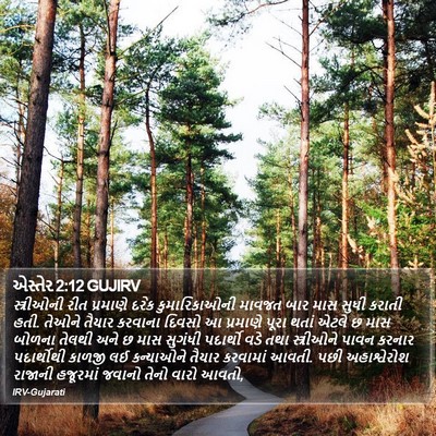 એસ્તેર 2:12 GUJIRV Bible Verse Image