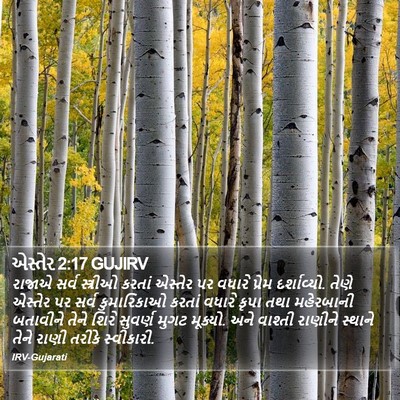 એસ્તેર 2:17 GUJIRV Bible Verse Image