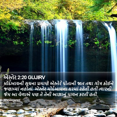 એસ્તેર 2:20 GUJIRV Bible Verse Image