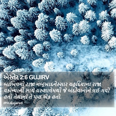 એસ્તેર 2:6 GUJIRV Bible Verse Image