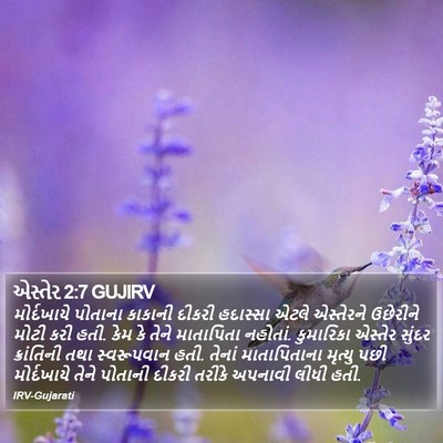 એસ્તેર 2:7 GUJIRV Bible Verse Image