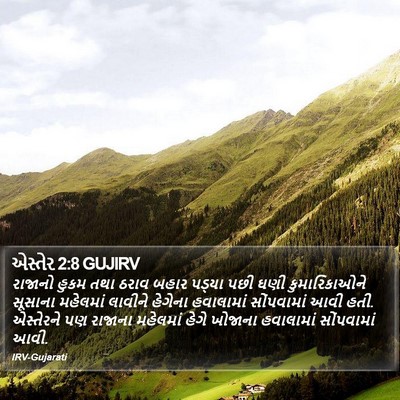 એસ્તેર 2:8 GUJIRV Bible Verse Image