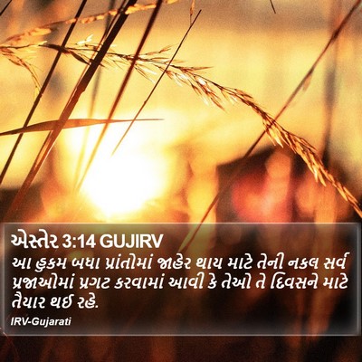 એસ્તેર 3:14 GUJIRV Bible Verse Image