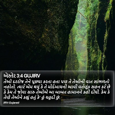એસ્તેર 3:4 GUJIRV Bible Verse Image
