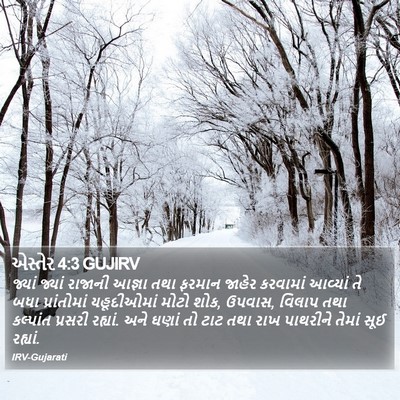 એસ્તેર 4:3 GUJIRV Bible Verse Image