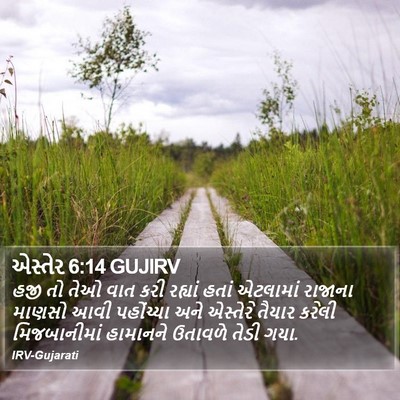 એસ્તેર 6:14 GUJIRV Bible Verse Image
