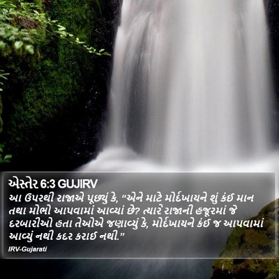 એસ્તેર 6:3 GUJIRV Bible Verse Image