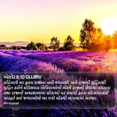 એસ્તેર 8:10 GUJIRV Bible Verse Image