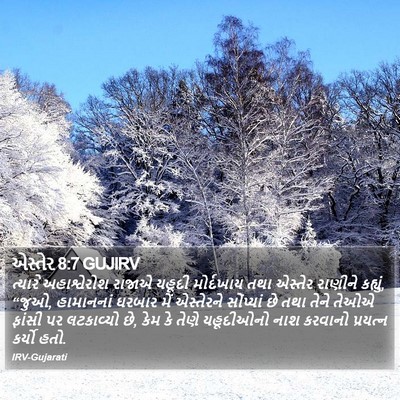 એસ્તેર 8:7 GUJIRV Bible Verse Image