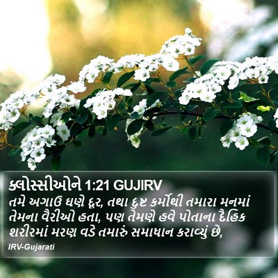 ક્લોસ્સીઓને 1:21 GUJIRV Bible Verse Image
