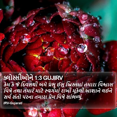 ક્લોસ્સીઓને 1:3 GUJIRV Bible Verse Image