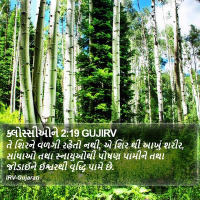 ક્લોસ્સીઓને 2:19 GUJIRV Bible Verse Image