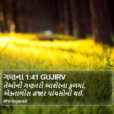 ગણના 1:41 GUJIRV Bible Verse Image