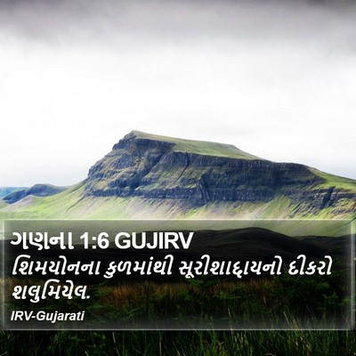 ગણના 1:6 GUJIRV Bible Verse Image