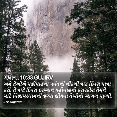 ગણના 10:33 GUJIRV Bible Verse Image
