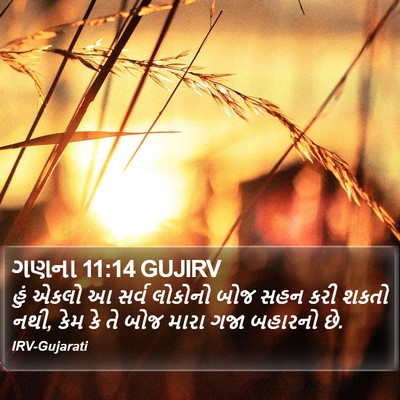 ગણના 11:14 GUJIRV Bible Verse Image