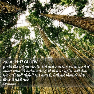 ગણના 11:17 GUJIRV Bible Verse Image
