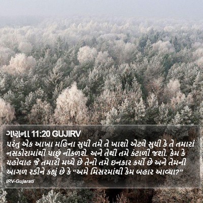 ગણના 11:20 GUJIRV Bible Verse Image
