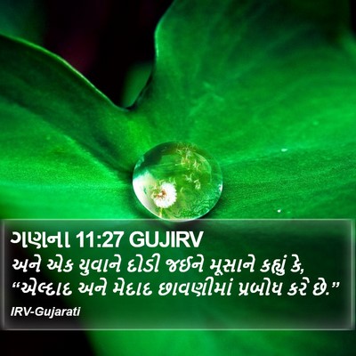 ગણના 11:27 GUJIRV Bible Verse Image