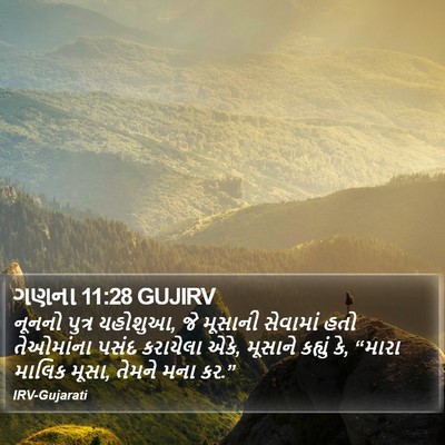 ગણના 11:28 GUJIRV Bible Verse Image