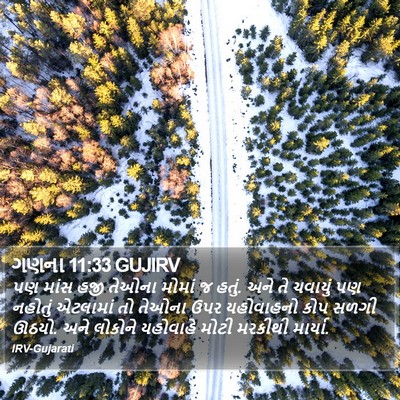 ગણના 11:33 GUJIRV Bible Verse Image
