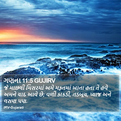 ગણના 11:5 GUJIRV Bible Verse Image