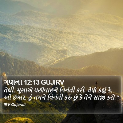 ગણના 12:13 GUJIRV Bible Verse Image