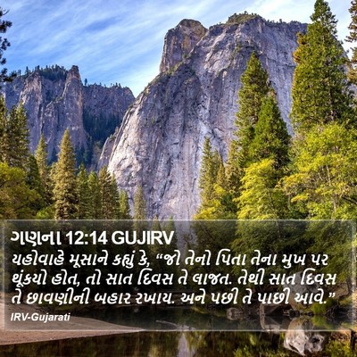 ગણના 12:14 GUJIRV Bible Verse Image