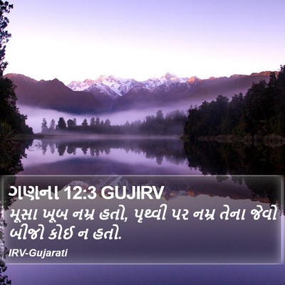 ગણના 12:3 GUJIRV Bible Verse Image