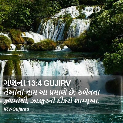 ગણના 13:4 GUJIRV Bible Verse Image