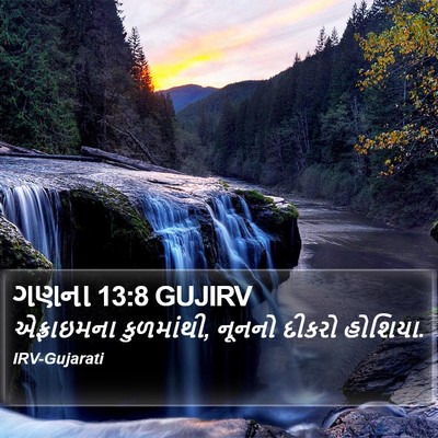 ગણના 13:8 GUJIRV Bible Verse Image