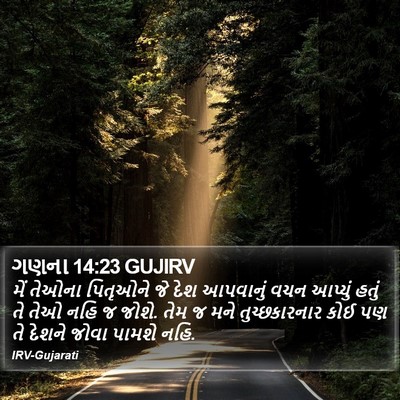 ગણના 14:23 GUJIRV Bible Verse Image